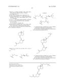 Compositions and Methods for Cancer Treatment diagram and image