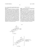 23-Substituted Derivatives of Lupane-type Pentacyclic Triterpenoids diagram and image