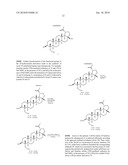 23-Substituted Derivatives of Lupane-type Pentacyclic Triterpenoids diagram and image