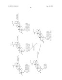 23-Substituted Derivatives of Lupane-type Pentacyclic Triterpenoids diagram and image