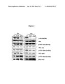 PYRIDINONYL PDK1 INHIBITORS diagram and image