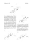 Heterocyclic Cyclopamine Analogs and Methods of Use Thereof diagram and image