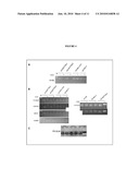 Methods for Identifying Modulators of Pyrimidine Tract Binding Protein diagram and image