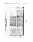 FUSION POLYPEPTIDE SUITABLE AS A CYTOTOXIN diagram and image