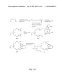 DNA CONTROLLED ASSEMBLY OF LIPID MEMBRANES diagram and image