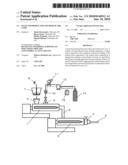 Foam and Production Method of the Same diagram and image