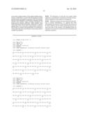 Increasing The Production Of Recombinant Antibodies In Mammalian Cells By Site-Directed Mutagenesis diagram and image