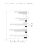 siRNA targeting nucleoporin 62kDa (Nup62) diagram and image