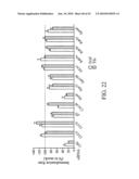 siRNA targeting nucleoporin 62kDa (Nup62) diagram and image