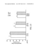 siRNA targeting nucleoporin 62kDa (Nup62) diagram and image