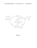 Substituted 3-hydroxy-delta-lactones from epoxides diagram and image