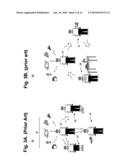 System And Method For Providing A Personalized Tool For Estimating Glycated Hemoglobin diagram and image