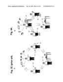 System And Method For Providing A Personalized Tool For Estimating Glycated Hemoglobin diagram and image