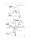 DEVICE AND WORKFLOW FOR MINIMALLY-INVASIVE THERAPY, IN PARTICULAR NEEDLE GUIDANCE diagram and image