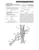 TUBULAR PATENT FORAMEN OVALE (PFO) CLOSURE DEVICE WITH CATCH SYSTEM diagram and image