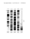 Sugar beet genes involved in stress tolerance diagram and image