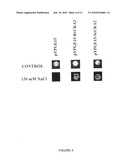 Sugar beet genes involved in stress tolerance diagram and image