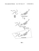 NOVEL POTENTIOMETRIC CHOLESTEROL SENSOR FOR THE QUANTITATIVE ESTIMATION OF TOTAL CHOLESTEROL IN HUMAN BLOOD SERUM diagram and image