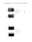 ANALYSIS APPARATUS AND METHOD diagram and image