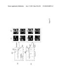 ANALYSIS APPARATUS AND METHOD diagram and image