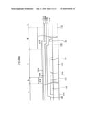 THIN FILM TRANSISTOR ARRAY PANEL WITH COMMON BARS OF DIFFERENT WIDTHS diagram and image