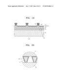 POLARIZER AND ORGANIC LIGHT EMITTING DISPLAY APPARATUS INCLUDING THE SAME diagram and image