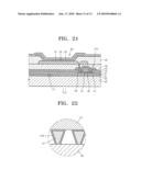 POLARIZER AND ORGANIC LIGHT EMITTING DISPLAY APPARATUS INCLUDING THE SAME diagram and image