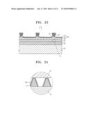 POLARIZER AND ORGANIC LIGHT EMITTING DISPLAY APPARATUS INCLUDING THE SAME diagram and image