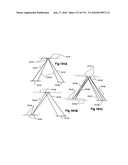 Near to Eye Display System and Appliance diagram and image