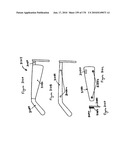 Near to Eye Display System and Appliance diagram and image