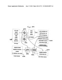 Near to Eye Display System and Appliance diagram and image