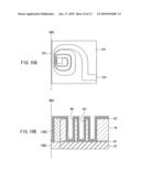 Magnetic head that suppresses protrusion of medium facing surface caused by heat of coil diagram and image