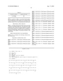 Method of Producing Lymphocytes diagram and image