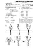 EGFR BINDING PEPTIDES AND USES THEREOF diagram and image