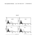 EGFR BINDING PEPTIDES AND USES THEREOF diagram and image