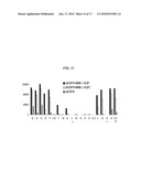 EGFR BINDING PEPTIDES AND USES THEREOF diagram and image