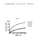 EGFR BINDING PEPTIDES AND USES THEREOF diagram and image