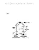 MODULATION OF DRUG SENSITIVITY diagram and image