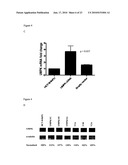 MODULATION OF DRUG SENSITIVITY diagram and image