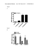 MODULATION OF DRUG SENSITIVITY diagram and image