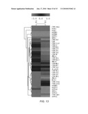 Determining nutrients for animals through gene expression diagram and image