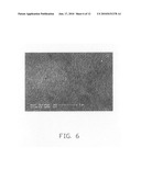 Membrane electrode assembly and biofuel cell using the same diagram and image