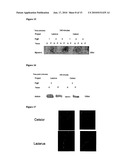 COMPOSITIONS AND METHODS FOR TISSUE PRESERVATION diagram and image