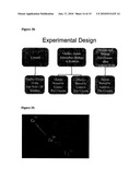 COMPOSITIONS AND METHODS FOR TISSUE PRESERVATION diagram and image