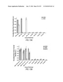 MICROFLUID SYSTEM AND METHOD TO TEST FOR TARGET MOLECULES IN A BIOLOGICAL SAMPLE diagram and image