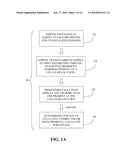 METHOD FOR DOUBLE STAINING IN IMMUNOHISTOCHEMISTRY diagram and image