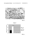 METHOD FOR DOUBLE STAINING IN IMMUNOHISTOCHEMISTRY diagram and image