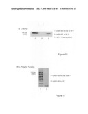 Methods and Systems for Searching for Regulators of the Fer Protein and for Monitoring the Effects of the Fer Protein diagram and image