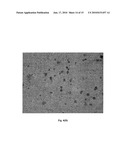 Detection of Unhealthy Cell and Uses Thereof diagram and image