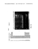 METHODS FOR DISEASE DETECTION diagram and image